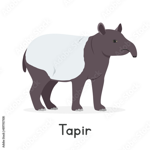 Malayan tapir vector illustration, cartoon clipart character, animal in flat style. Wild animals, wild creatures, wildlife concept. Tapir vector design isolated on white background