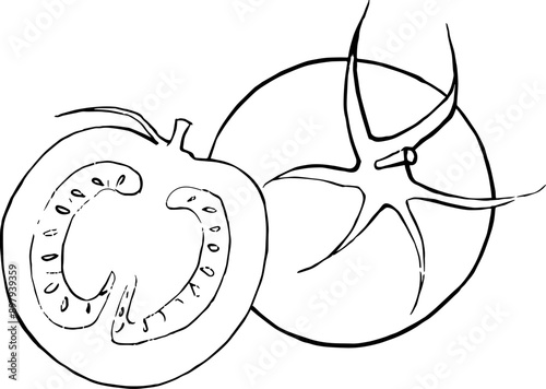 hand drawn illustration of tomatoes, tomatoes hand drawn