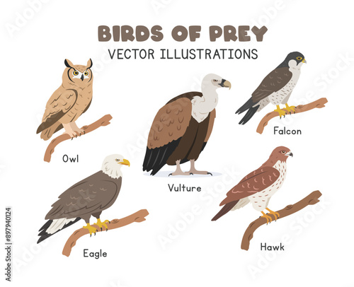 Birds of prey vector illustration set. Predatory birds cartoon clipart set in flat style. Eagle, owl, hawk, falcon, vulture flat vector design. Wild animals, raptors, birds concept