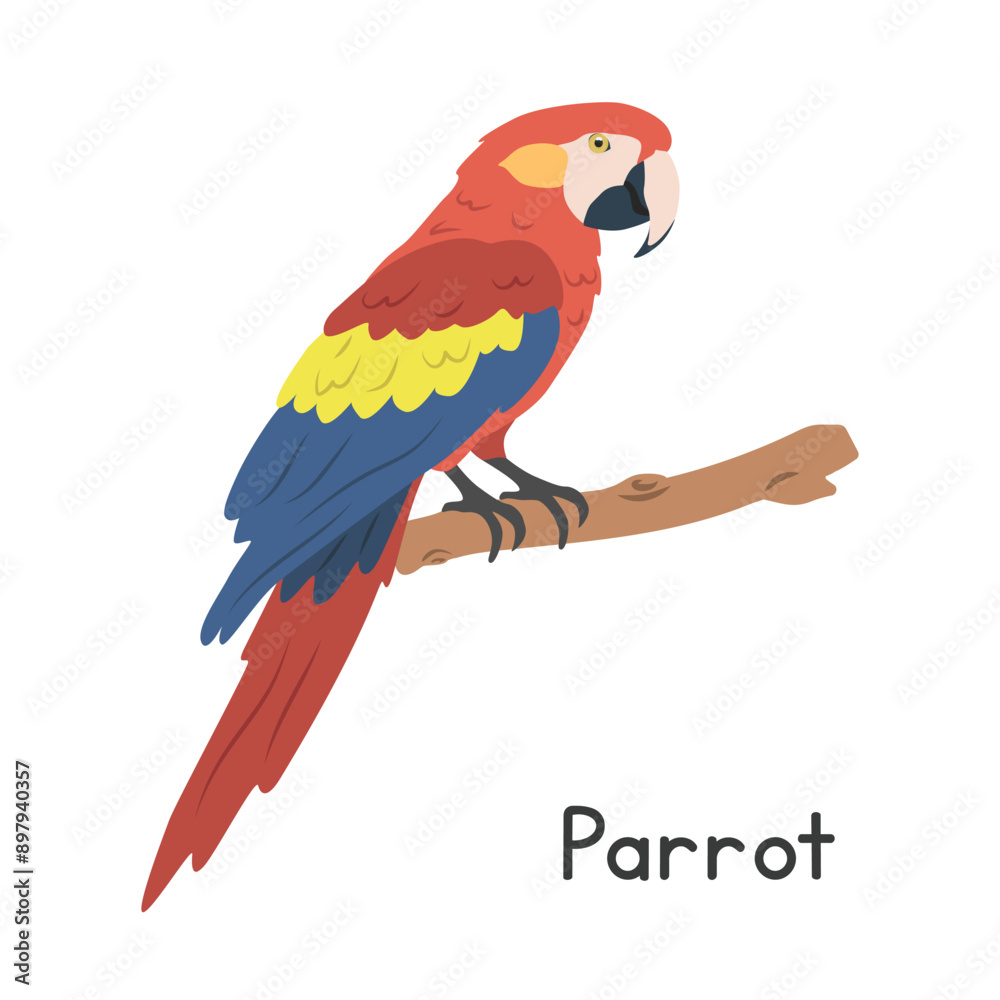 Scarlet macaw parrot perched on tree branch vector illustration, cartoon clipart character, animal in flat style. Wild animals, avian, birds concept. Colorful macaw vector design isolated Scarlet macaw parrot perched on tree branch vector illustration, cartoon clipart character, animal in flat style. Wild animals, avian, birds concept. Colorful macaw vector design isolated