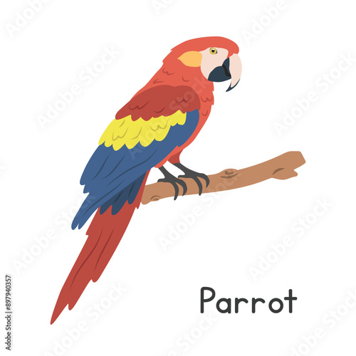 Scarlet macaw parrot perched on tree branch vector illustration, cartoon clipart character, animal in flat style. Wild animals, avian, birds concept. Colorful macaw vector design isolated