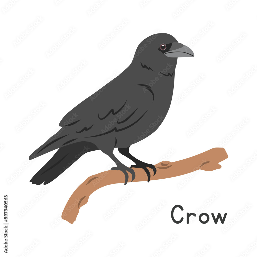 Obraz premium Black crow perched on tree branch vector illustration, cartoon clipart character, animal in flat style. Wild animals, avian, birds concept. Crow vector design isolated on white background