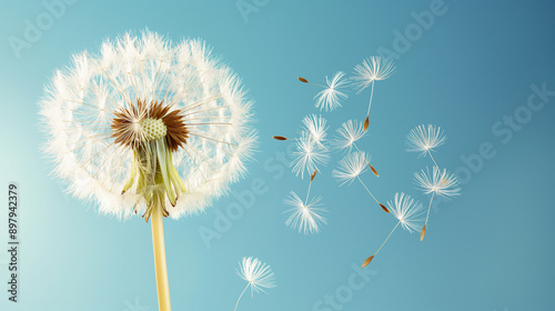 Dandelion seeds blowing in the wind under a bright sun.