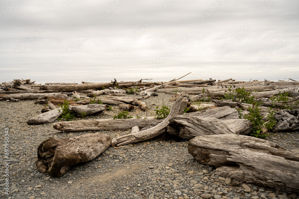 Pacific Ocean coast on a cold summer day, cloudy day on a rocky beach, Pacific Ocean coast in Washington state, near Seattle Pacific Ocean coast on a cold summer day, cloudy day on a rocky beach, Pacific Ocean coast in Washington state, near Seattle