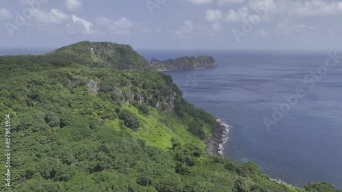 Wallpaper Mural Drone flies over lush green forests on island toward the sea Torontodigital.ca
