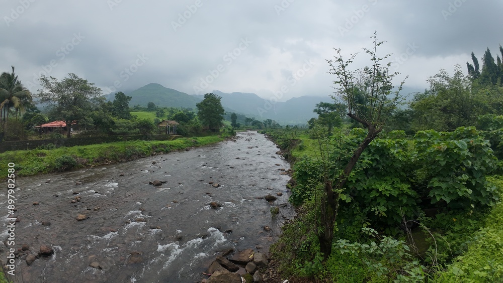 A vibrant natural canal surrounded by greenery in the Sahyadri Hills, captured during the rainy season of the monsoon.
A vibrant natural canal surrounded by greenery in the Sahyadri Hills, captured during the rainy season of the monsoon.