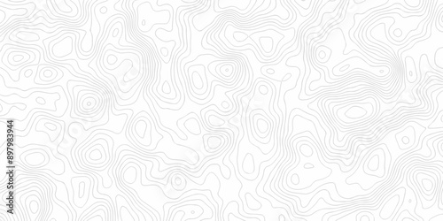 White wave paper curved reliefs abstract background black and white, Background of the topographic line map. Topographic map patterns abstract white topography vector background.