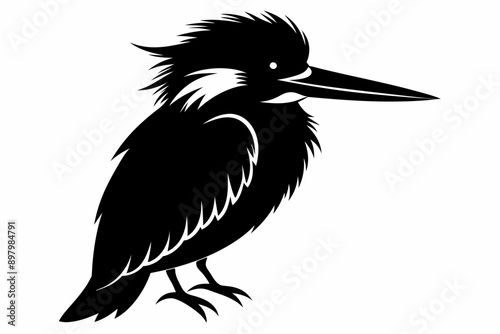 Vector. silhouette of kingfisher. Kingfisher birds silhouette victor illustration. kingfisher silhouette,  kingfisher silhouette illustration. Kingfisher silhouette vector art illustration