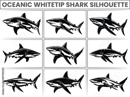 Hand-drawn Oceanic whitetip shark Silhouettes Vector Marine Fish and Animals Silhouette. Isolated Mammal on Black and White Background.