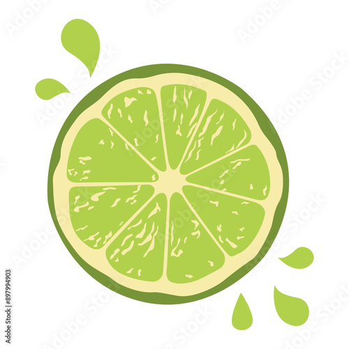 Sliced Fresh Lemon Lime Orange Citrus Fruit Healthy Nutrition Vector Illustration