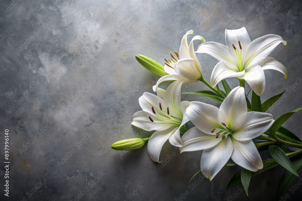 Delicate white lily flowers bloom softly on a muted grey background, evoking serenity and peacefulness, perfect for expressing sympathy and condolences for a funeral or loss. Delicate white lily flowers bloom softly on a muted grey background, evoking serenity and peacefulness, perfect for expressing sympathy and condolences for a funeral or loss.