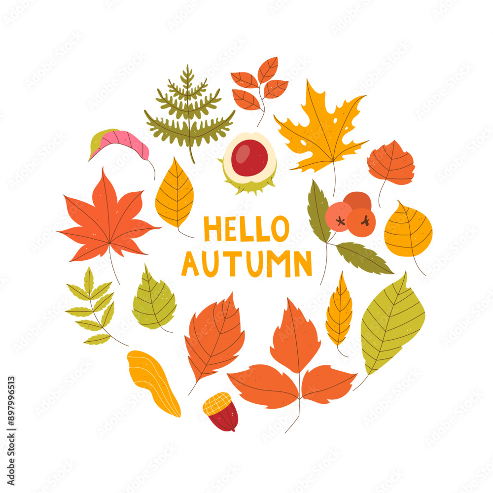 Obraz premium Hello autumn postcard. Autumn coming concept. Autumn leaves on white background