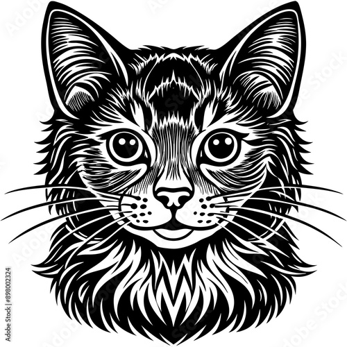 cat Vector