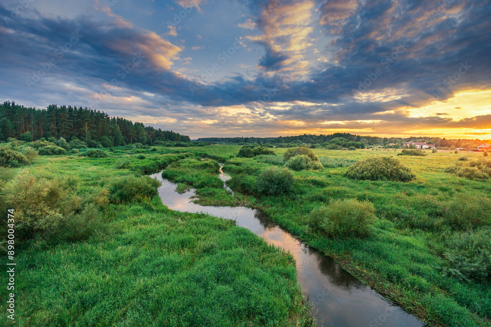 Obraz premium A river runs through a lush green field with trees in the background
