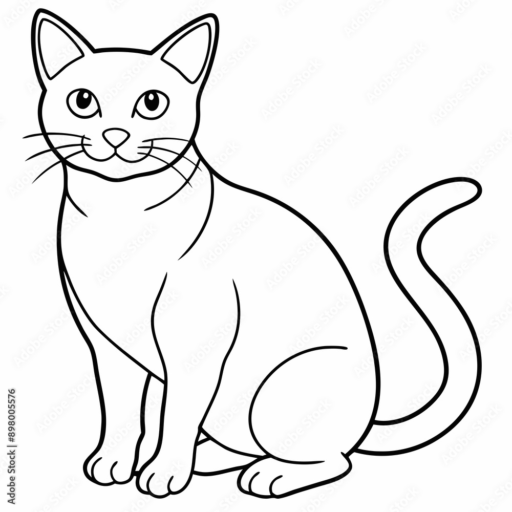 cat Vector cat Vector