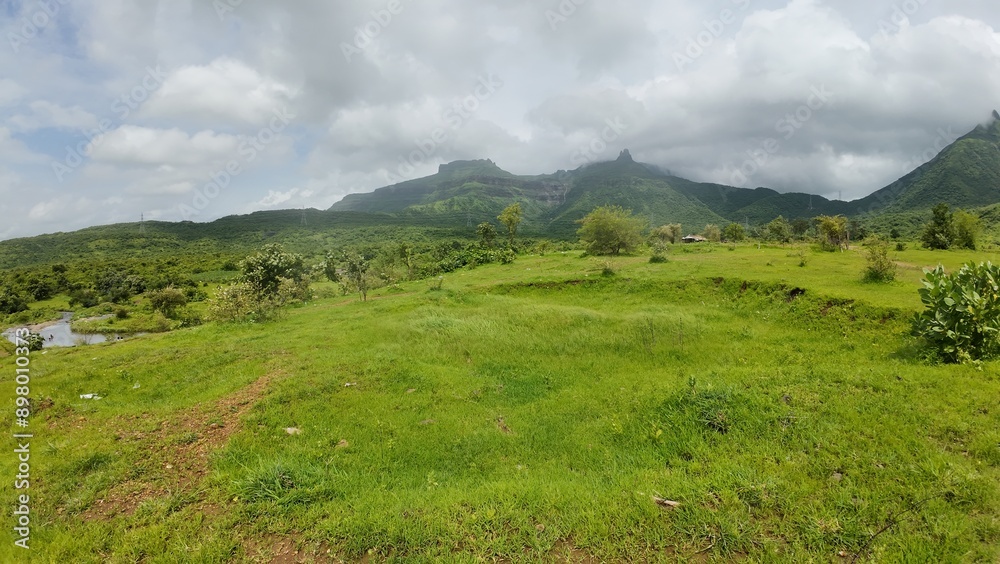 Fototapeta premium Serene Pathway through Lush Green Hills