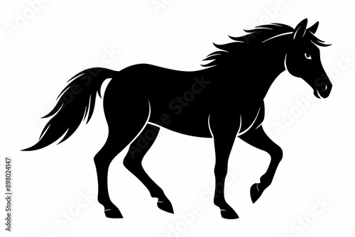  Horse silhouette illustration, horse black silhouette. Vector illustration. black horse silhouette
