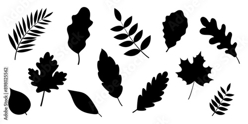 Big set of black silhouette of autumn leaves on a white background. Vector Illustration. Collection of Various Leaf Shape.
