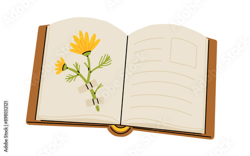 Pile of books, cup of tea and glasses cartoon illustration set. Opened and closed books for reading. herbarium . Education, knowledge, study concept, Cozy autumnal reading