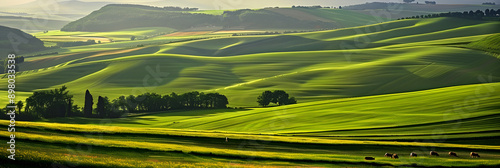 Serene field with rolling hills and grazing animals