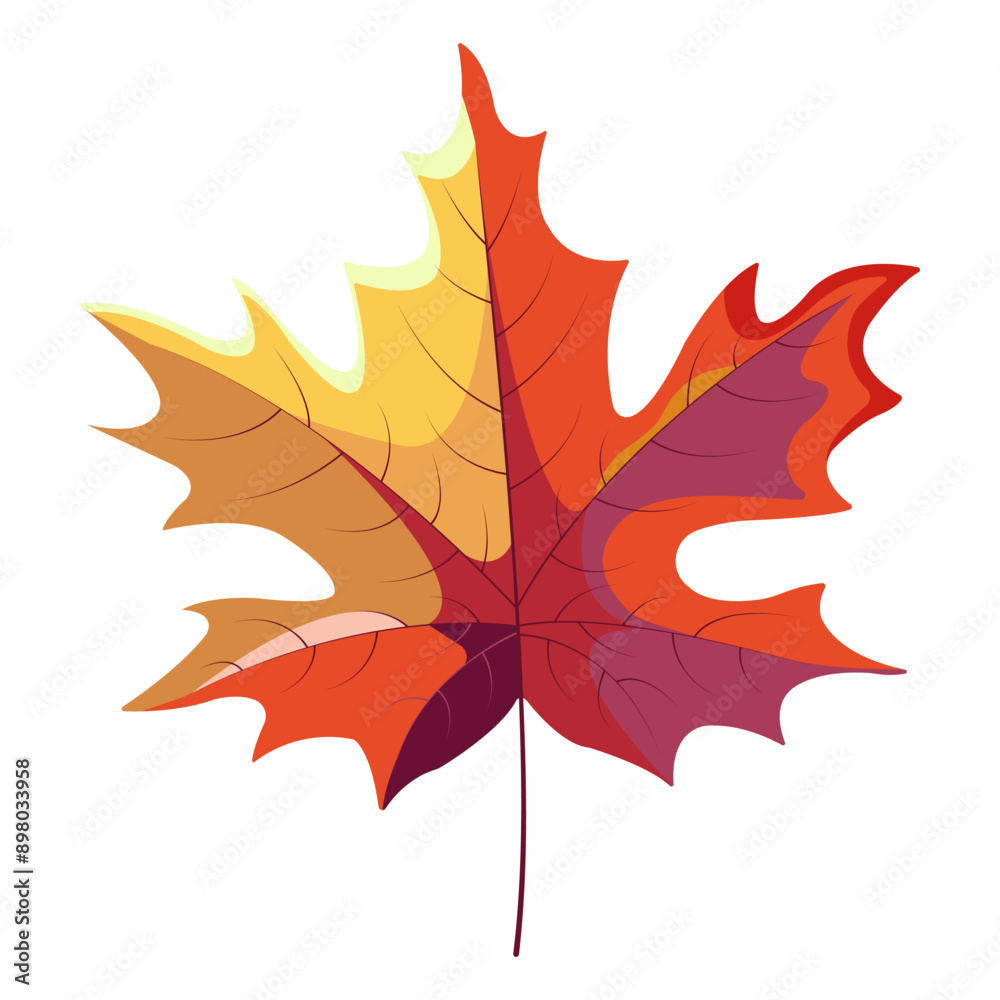 The autumn maple leaf is bright and colorful on an isolated white background. Vector illustration. The theme is autumn, botany, school.
The autumn maple leaf is bright and colorful on an isolated white background. Vector illustration. The theme is autumn, botany, school.