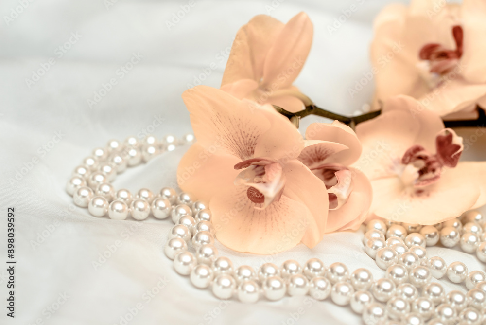 The branch of yellow orchids on white fabric background
The branch of yellow orchids on white fabric background