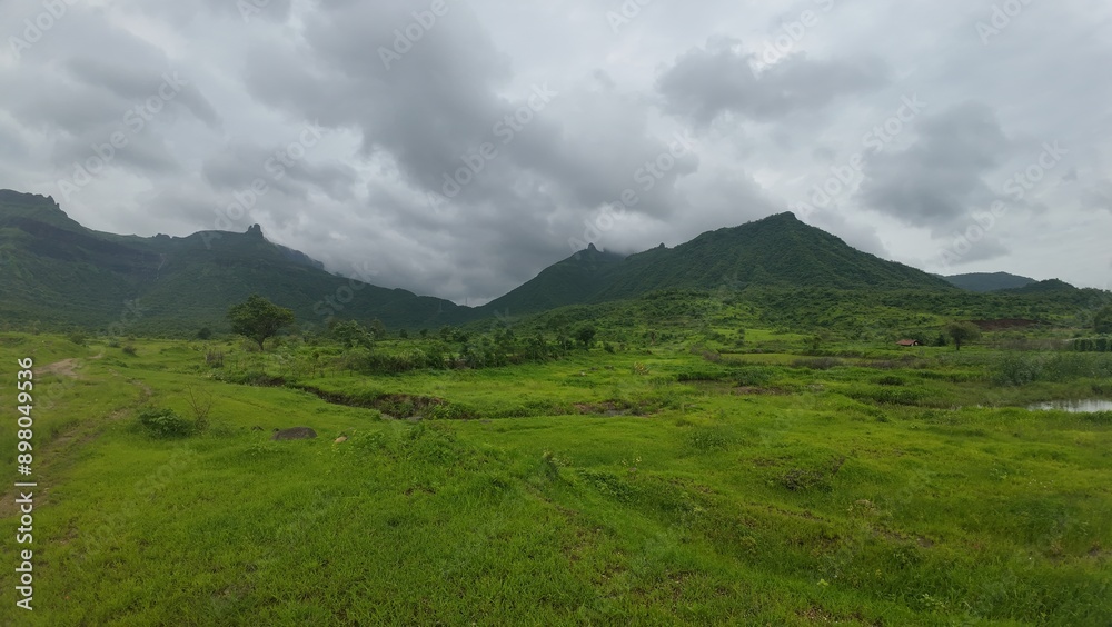 Fototapeta premium Scenic View of Green Meadow in the Sahyadri Mountain Range