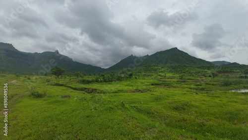  Scenic View of Green Meadow in the Sahyadri Mountain Range