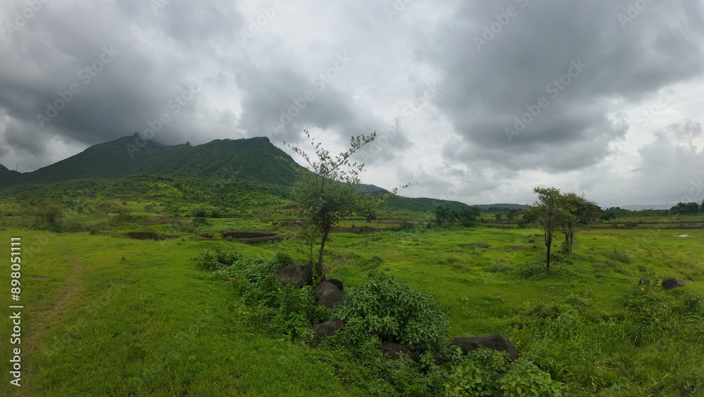 Scenic View of Green Meadow in the Sahyadri Mountain Range Scenic View of Green Meadow in the Sahyadri Mountain Range