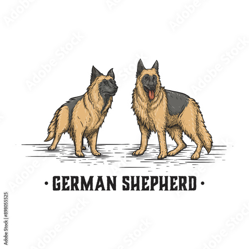 2 german shepherds for logo... draw in vintage hand drawn style