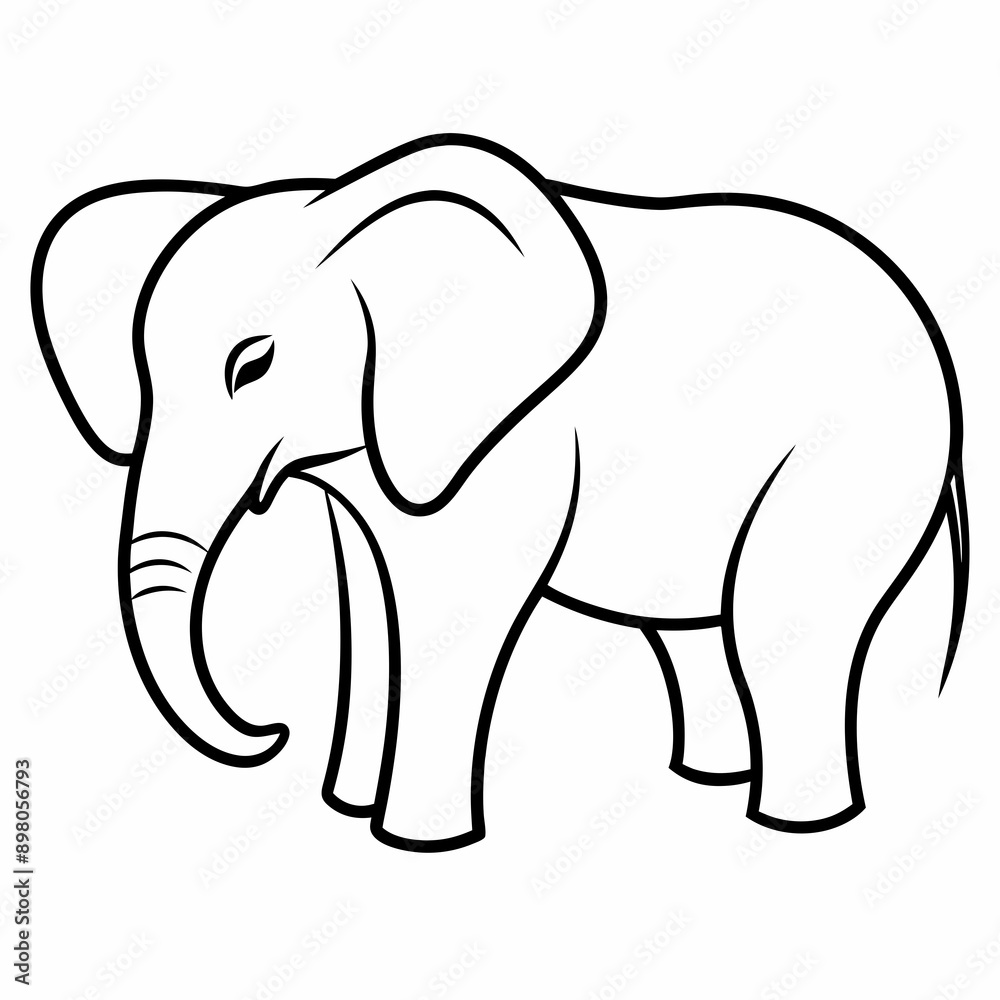 elephant Vector elephant Vector