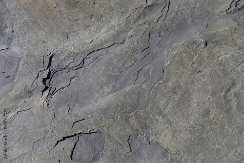 Tableau sur toile Sea-worn stone texture on a wild coastal beach.