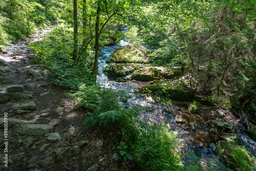 Sommerlicher Wanderweg vom Ilsetal nach Plessenburg im Harz, Ilsefälle photo