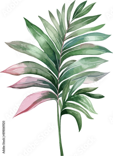 Wallpaper Mural Watercolor Tropical Leaf Vector Illustration. Torontodigital.ca