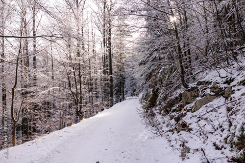 ampia vista panoramica frontale e in prospettiva di una strada sterrata che attraversa un bosco di montagna in Slovenia, coperto di neve, di giorno, in inverno photo