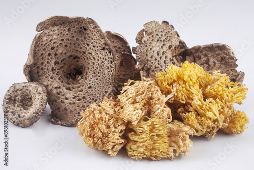 Close-up of raw mushrooms of clavaria and Sarcodon aspratus on white floor, South Korea
 photo