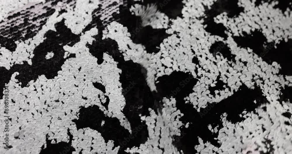 Black fabric with white spots ripples and sways in atelier Black fabric with white spots ripples and sways in atelier