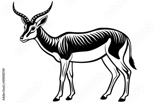 Springbok Silhouette, Springbok icon vector illustration