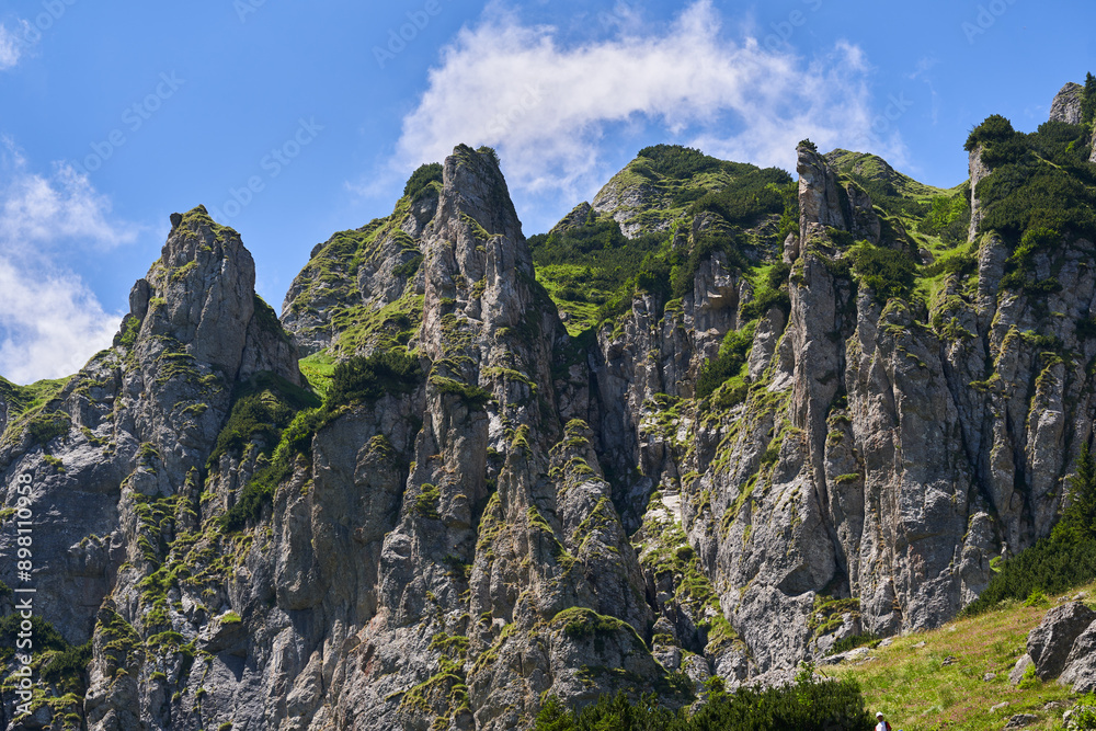Mountain landscape in the summer Mountain landscape in the summer