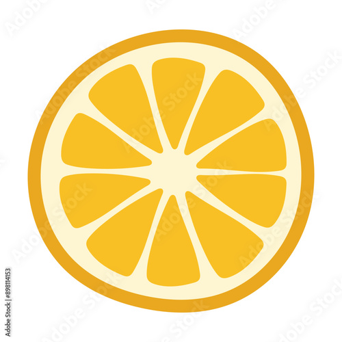 Hand drawn citrus slice isolated on white background
