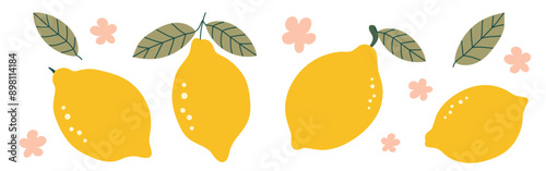 Hand drawn citrus set with lemons and leaves isolated on white background