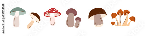 Happy harvest. Set of mushrooms. Autumn mushrooms in flat style isolated on white. Autumn, harvest, Thanksgiving concept.