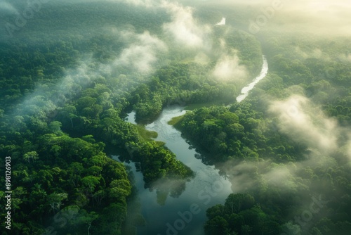 Amazon rainforest, diverse wildlife, early morning mist, bird's-eye view, vibrant greenery, flowing rivers, wide-angle shot