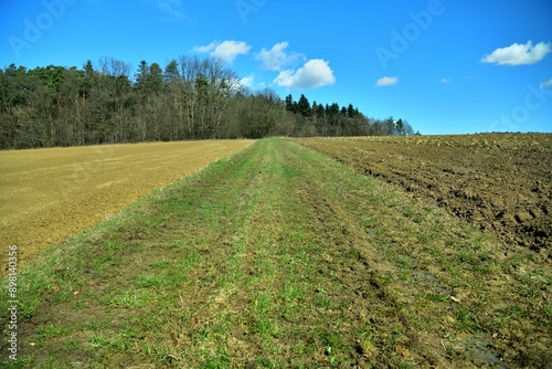 Landscape scenery green grass, brown forests and blue sky