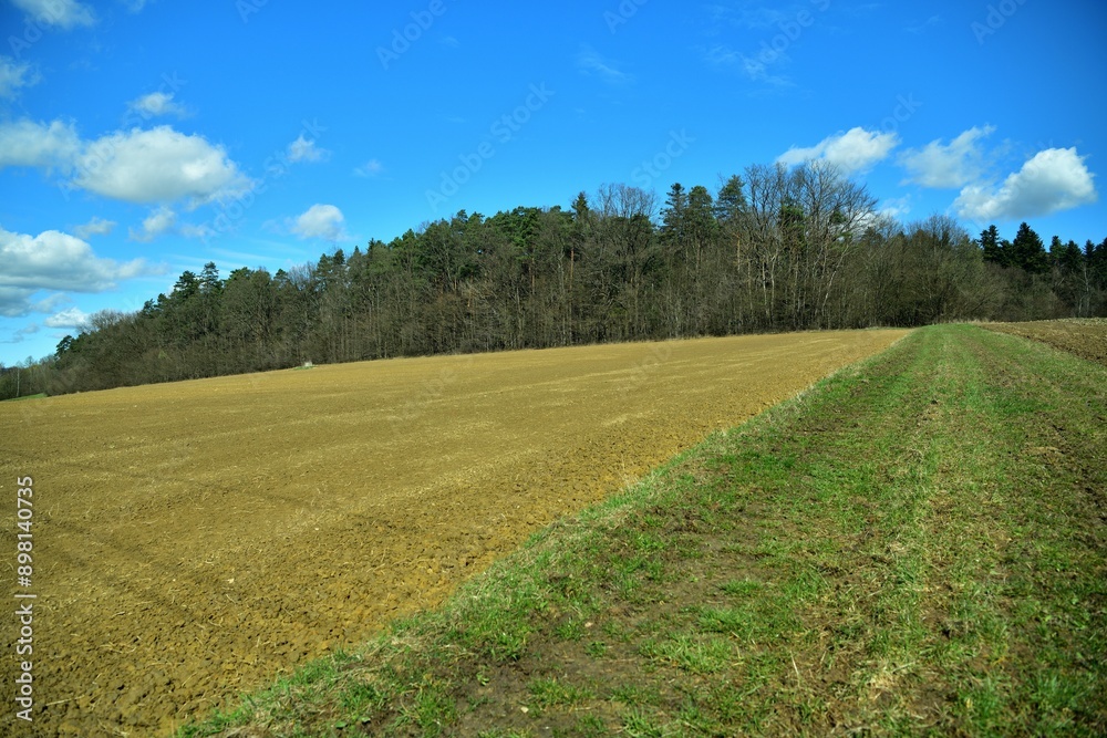 Landscape scenery green grass, brown forests and blue sky