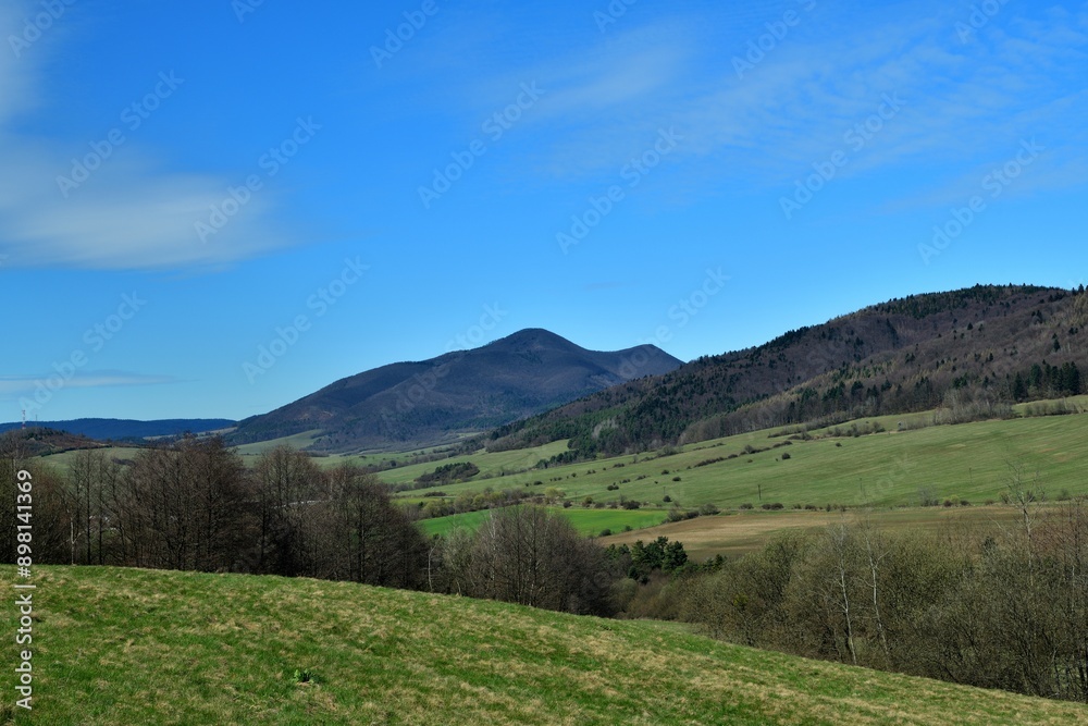 A view of a green meadow in the background of a blue sky and the edge of the forest