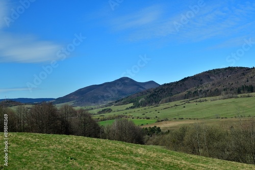 Obraz na płótnie A view of a green meadow in the background of a blue sky and the edge of the forest w salonie