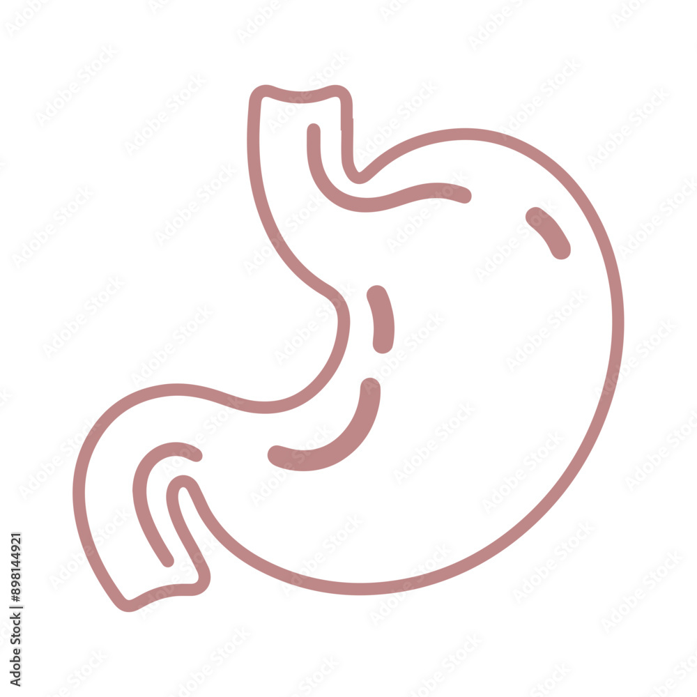 Stomach vector line icon flat design Stomach vector line icon flat design