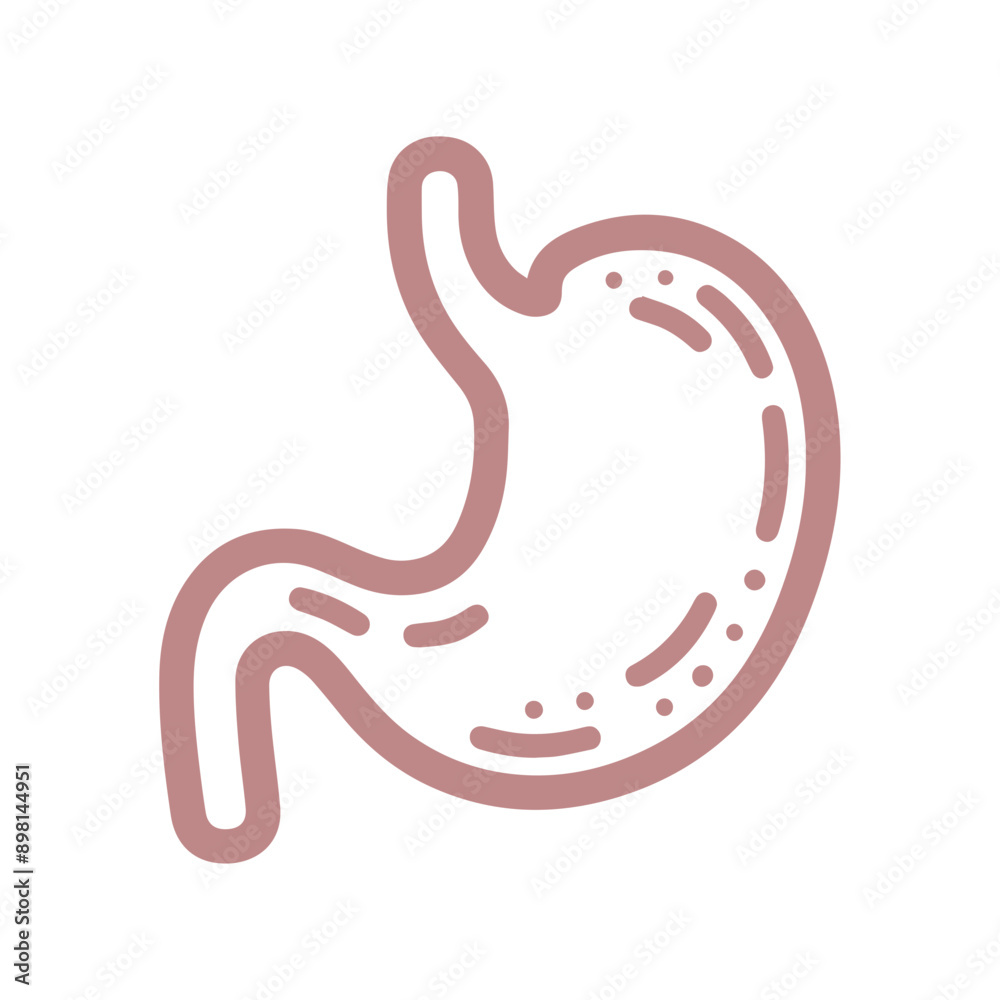 Stomach vector line icon flat design Stomach vector line icon flat design