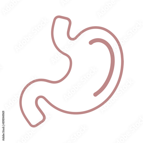 Stomach vector line icon flat design